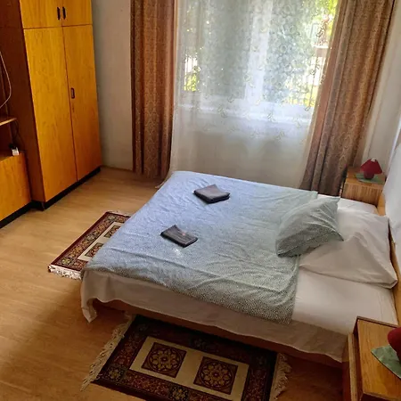 Grany's Retro Near Budapest Airport Apartment *